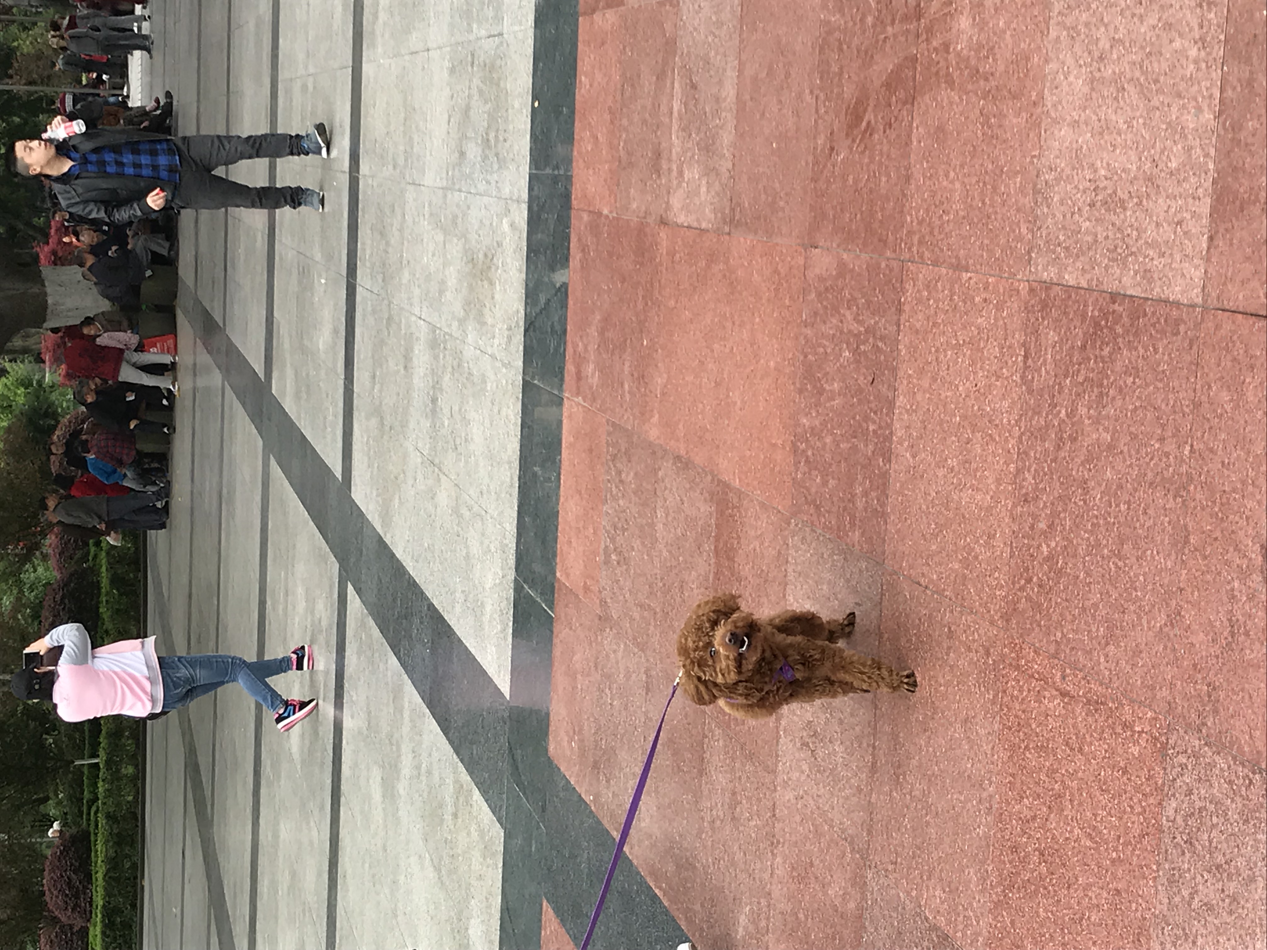 ./2018/03 - Viking China/15 - Chongqing/IMG_7132.JPG